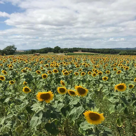 Le Chevalier Noir Bed & Breakfast 4*