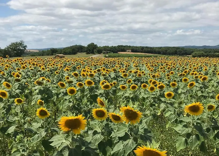 Le Chevalier Noir Frühstückspension 4*